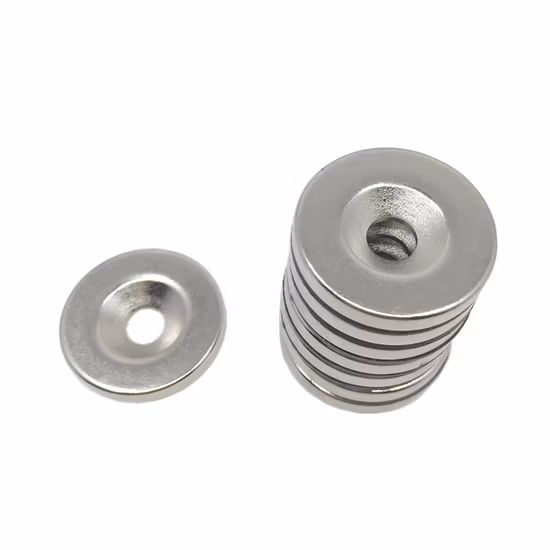 T/T ou d'autres palette de mer de Sdm/carton d'air empaquetant l'aimant fraisé du néodyme N52