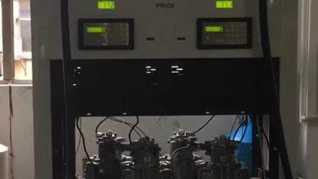 Distributeur de carburant Rt-B224 avec système de gestion de carte IC